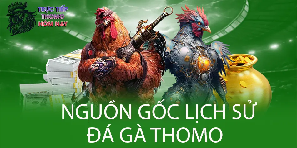 Tìm hiểu nguồn gốc và lịch sử của trò chơi đá gà Thomo TRUCTIEPTHOMOHOMNAY