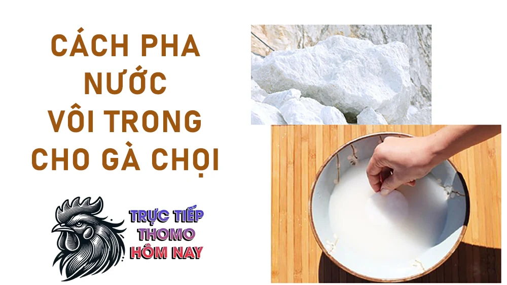 Lựa chọn vôi tôi trắng, không bị vón cục và hòa vào nước sạch theo tỷ lệ.