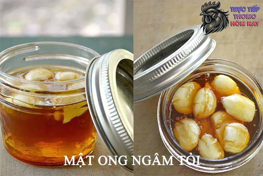 Hỗn hợp tỏi với mật ong giúp tăng sức đề kháng cho gà.